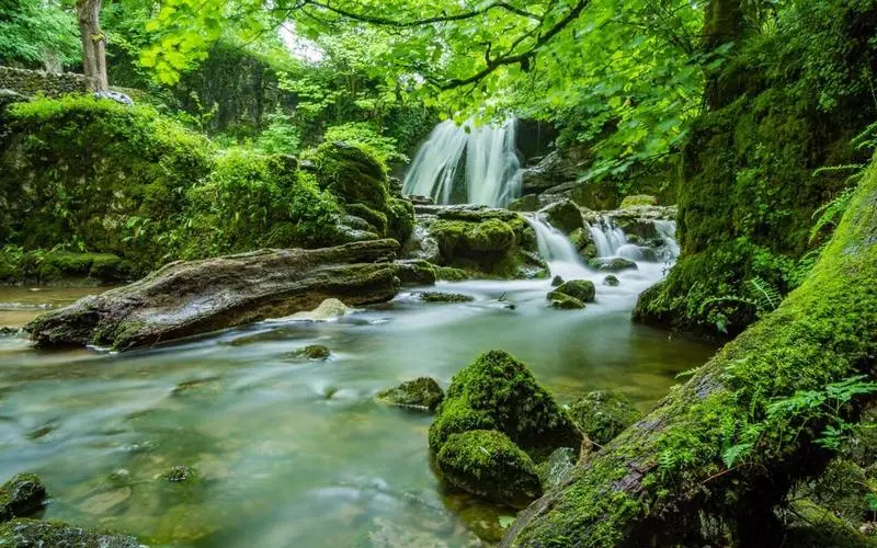 高效高端电子